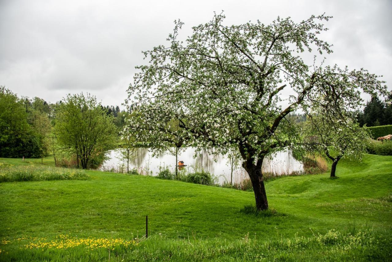 Golf- Und Landhotel Anetseder Thyrnau Екстериор снимка